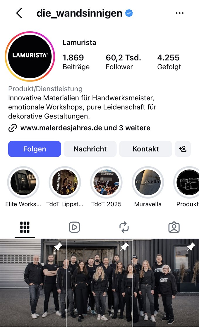 Instagram-Profil von Lamurista (die_wandsinnigen) mit 60,2 Tausend Followern